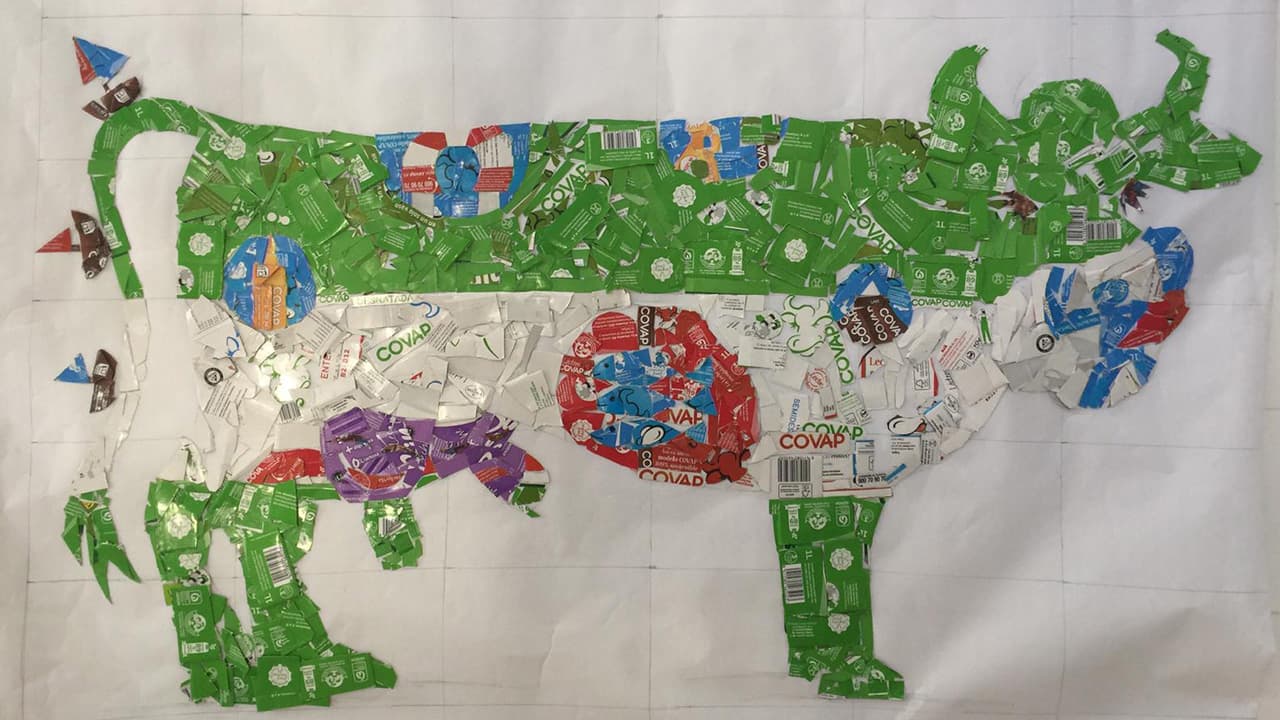 proyecto-Colegio Virgen del Carmen (Córdoba)